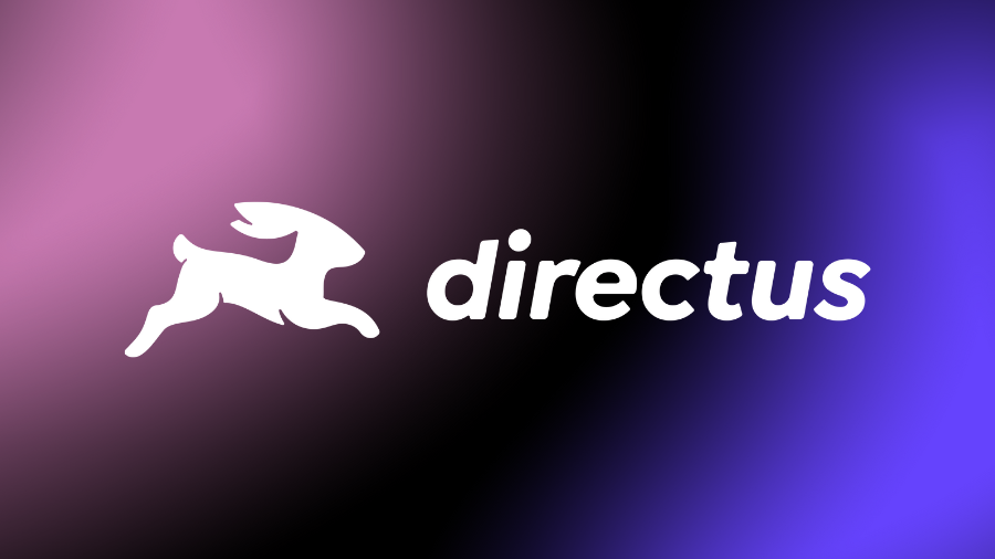NSIN Alumni Spotlight: Directus